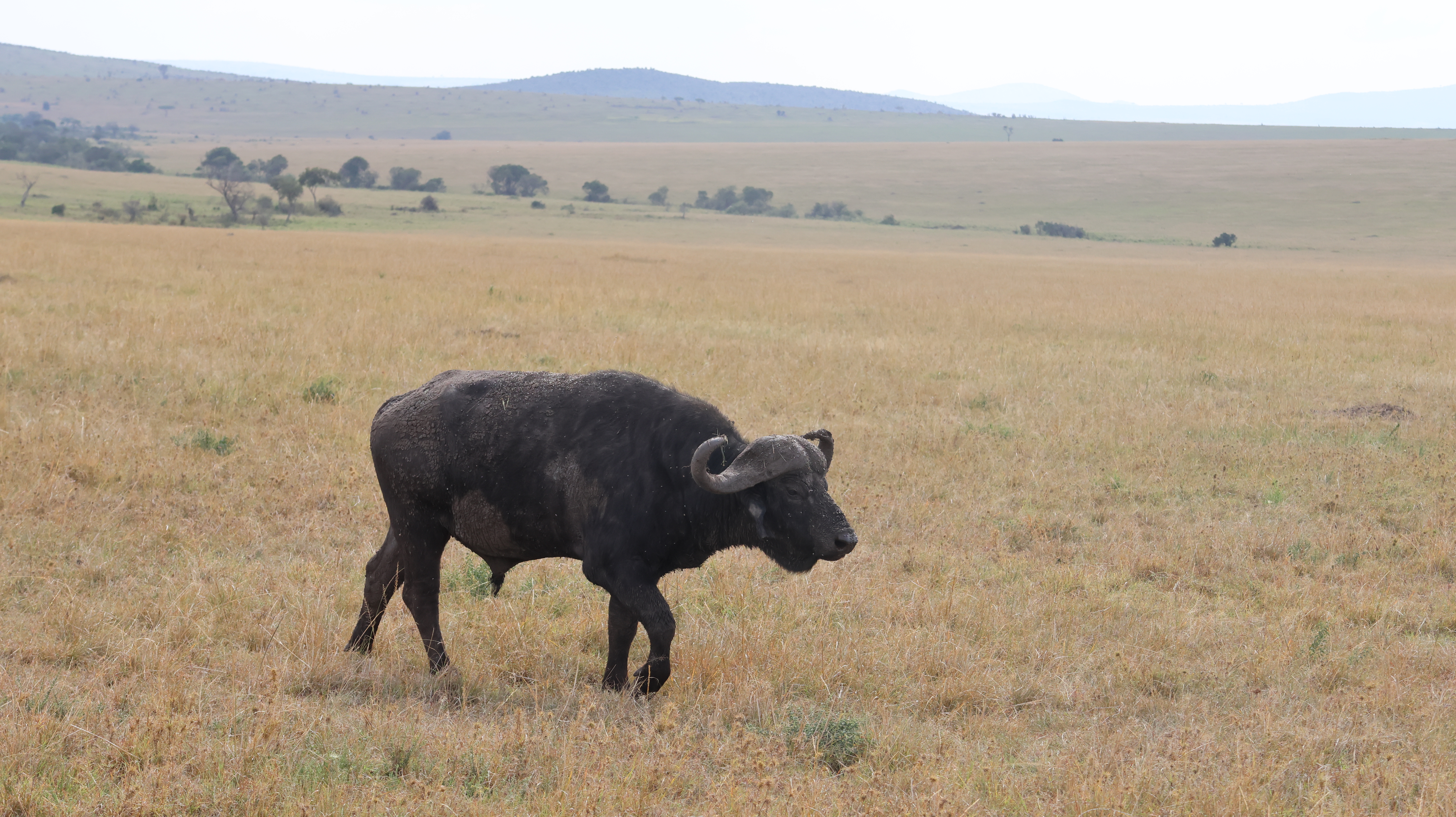3 Days, 2 Nights Masai Mara Safari Itinerary