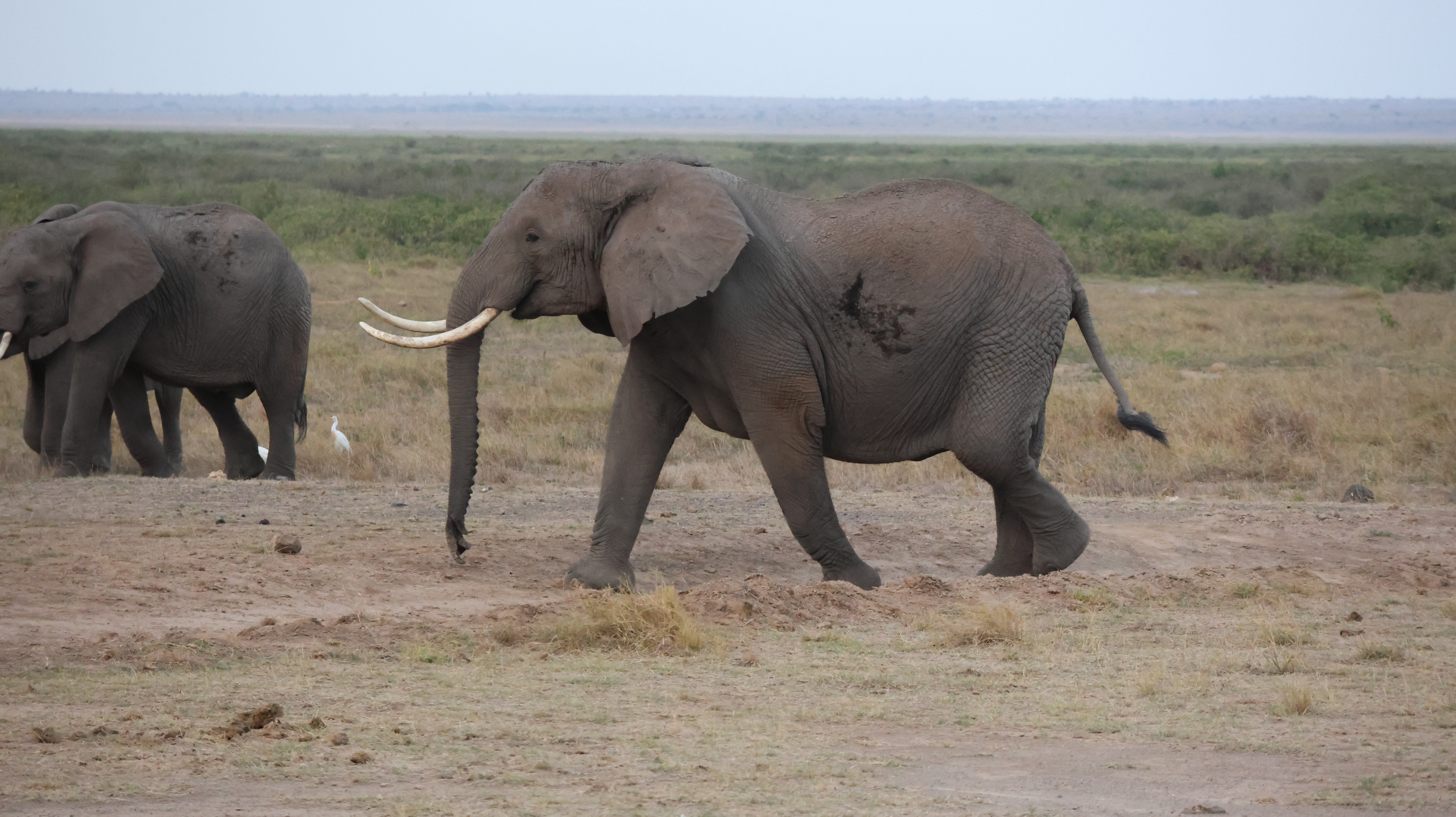 4 Days, 3 Nights Masai Mara Safari  Itinerary